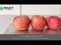 ZLGJ-50 標準シリコンオイルヒート パイロット 実験室冷凍乾燥機