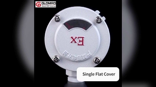 GLO-AH 防爆接続箱