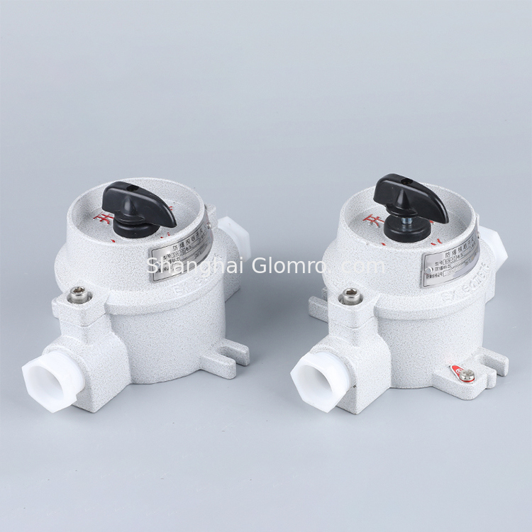 Industrial Explosion-Proof Lighting Switch Single & Double Anti-Corrosion Wall Switch 10A 16A wall electric switches