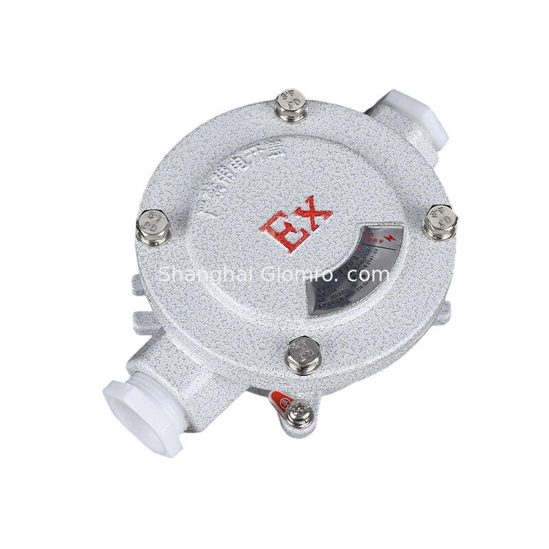 AH-IIB Type B Double Flat Panel Explosion-proof Box, 220V/380V 20A, G1/2-G2 Thread for Explosive Gas Environments