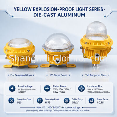 GLOMRO ヘビーデューティー防爆LEDエリアライト 30W SMD 3000Lm AC85V-265V 石油化学プラント用
