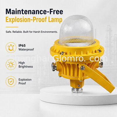 GLOMRO 30W メンテナンスフリー 防爆ランプ 温熱ガラスカバー 倉庫 ガソリンスタンド 吊るし設置